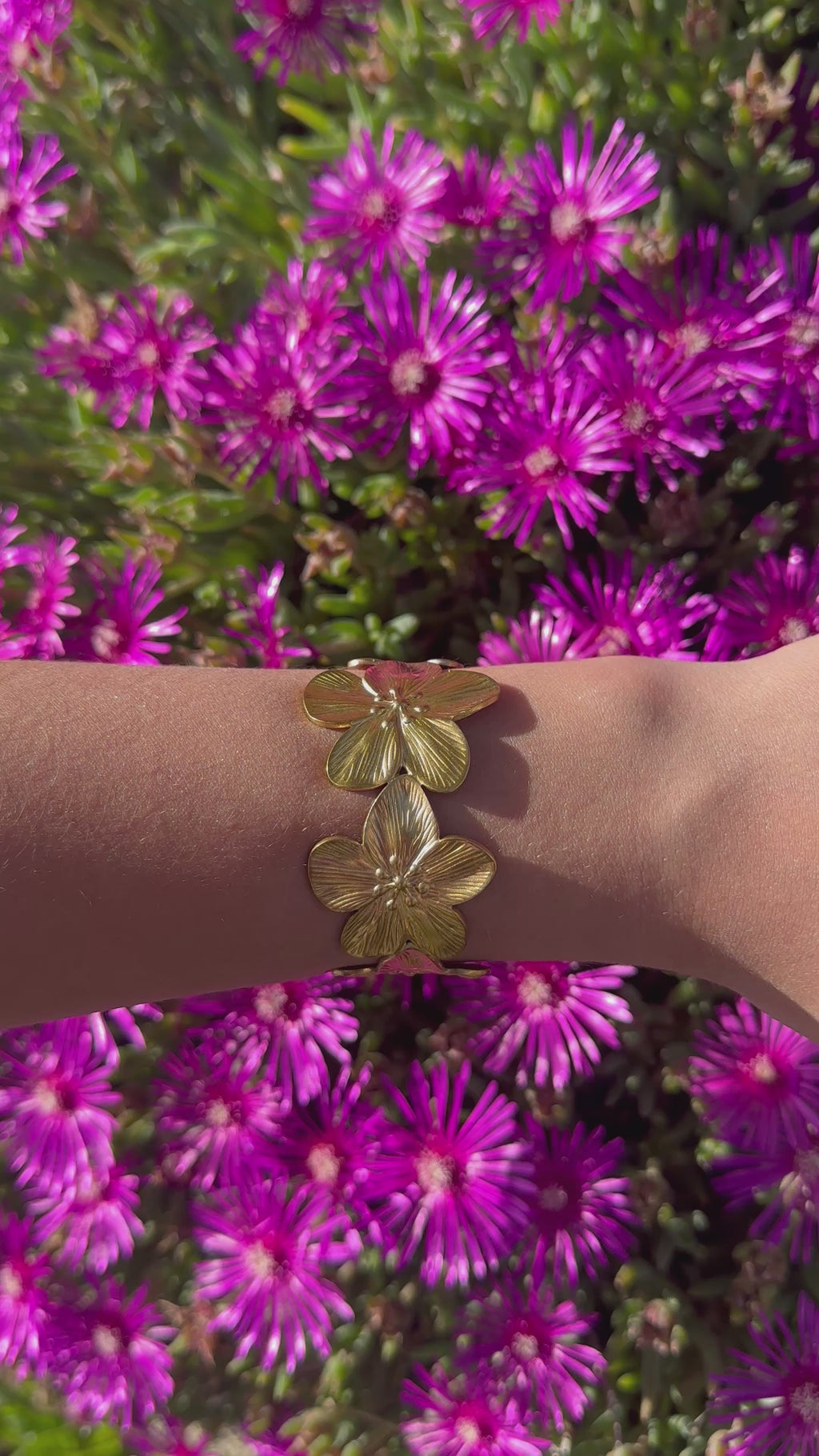 Jonc Flora